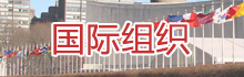 國際組織